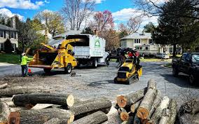 Best Tree and Shrub Care  in Crescent City, FL